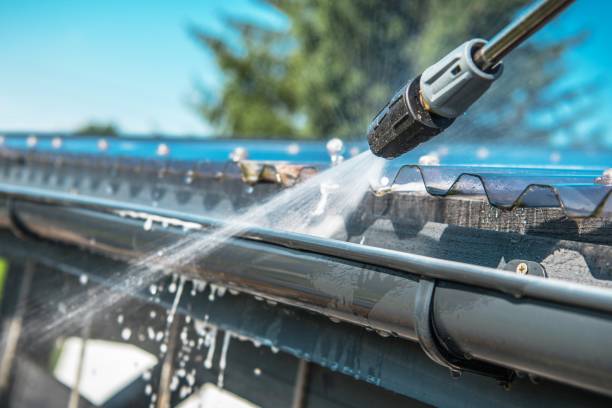Best Exterior Home Cleaning  in Gridley, IL