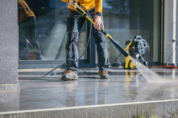 Best Local Pressure Washing Services  in Gridley, IL