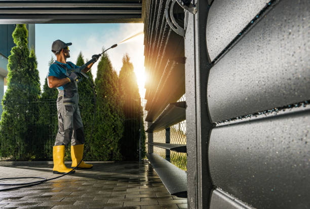 Best Best Pressure Washing Companies  in Gridley, IL