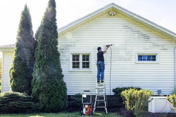Best Residential Pressure Washing Services  in Gridley, IL