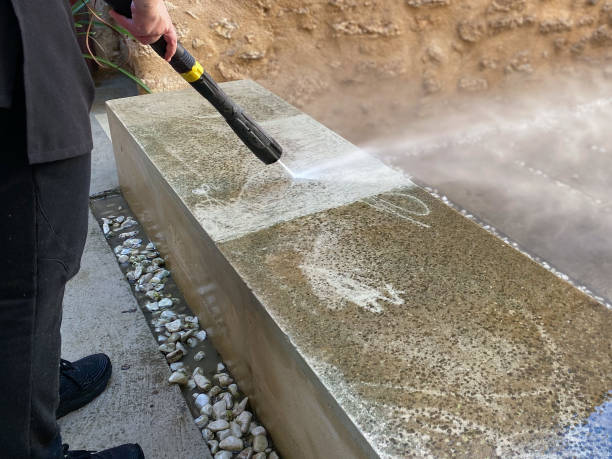 Best Local Pressure Washing Services  in Gridley, IL