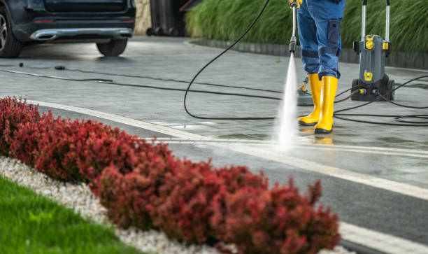 Best House Pressure Washing  in Gridley, IL