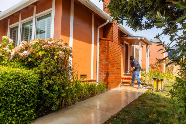 Best Sidewalk Pressure Washing  in Gridley, IL