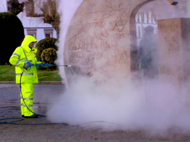 Best Concrete Pressure Washing  in Gridley, IL