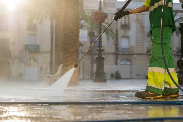 Best Affordable Pressure Washing  in Gridley, IL