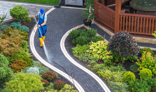 Best Fence Pressure Washing  in Gridley, IL