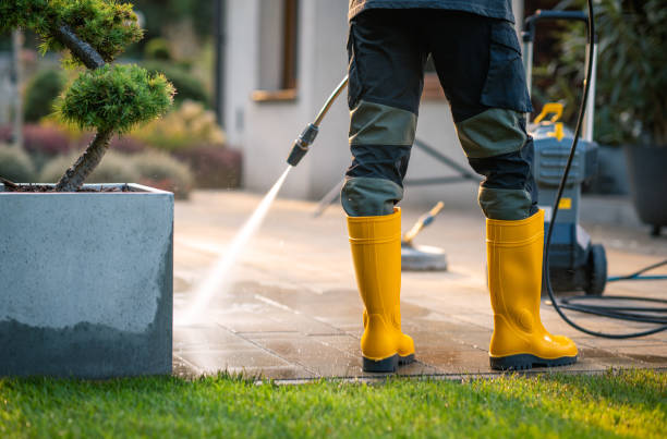 Best Concrete Pressure Washing  in Gridley, IL
